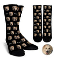 Personalized Pet Socks with Name