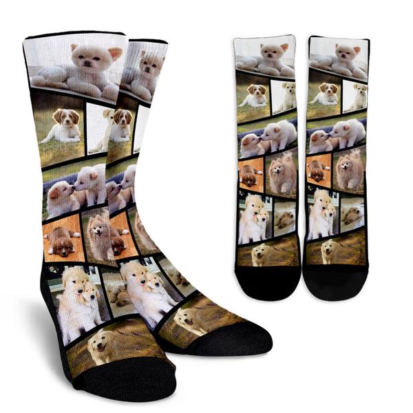 Pet Collage Socks (ZigZag)