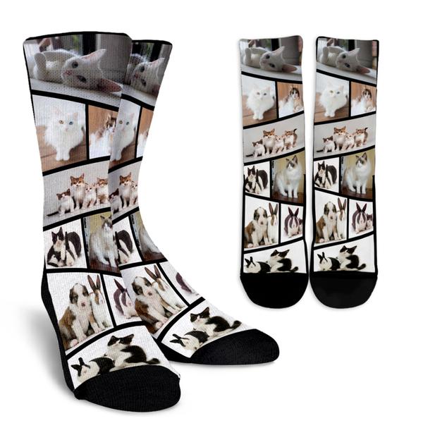 Pet Collage Socks (ZigZag)